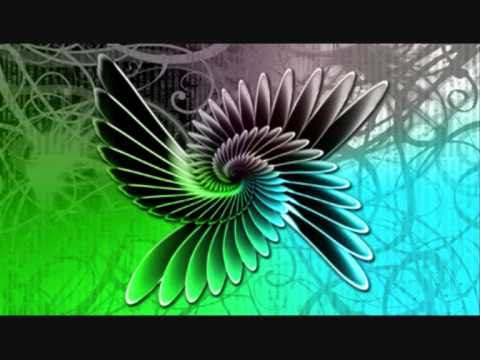 System Nipel Vs Electro Sun   We can fly