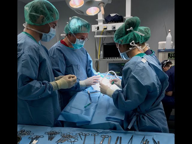 Vídeo relacionado con anestesia de animales de laboratorio. introduccion practica para investigadores y tecnicos.