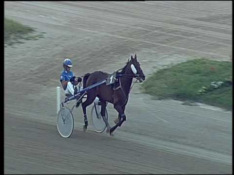 Trotto 16/06/2016 - prova di riqualifica