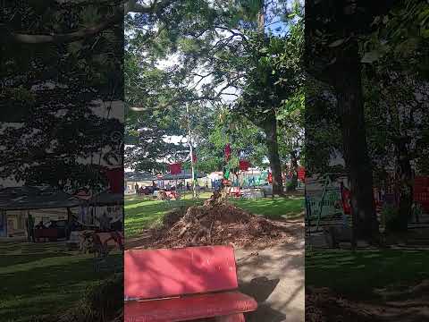 #navidad  de tilaran guanacaste  costa rica 2025