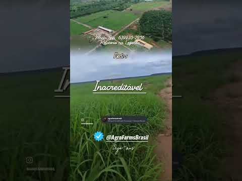 FAZENDA BARATA À VENDA AQUI NO PIAUÍ.....#shorts