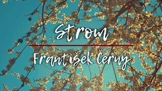 Video František Černý - Strom  \\\ STUDIO
