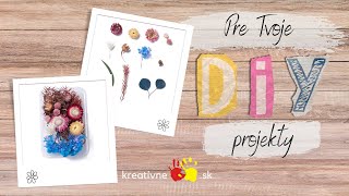 Mix Sušených kvetov v krabičke 1.4~19x0.9~4.5cm, 1 balenie
