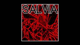 HEALTH - SALVIA (THE DARKNET REMIX)