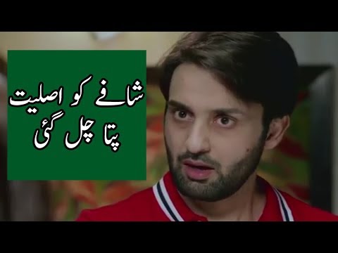 Bay Dardi - Episode 16 - 17 Full Story Review in Urdu | Aiman Khan | Affan Waheed | Ary Digital