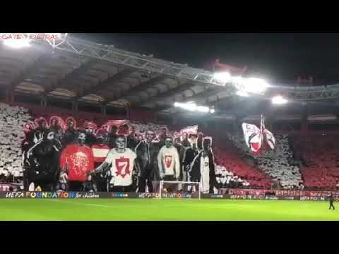 Olympiacos - Crvena Zvezda 11.12.2019 Gate 7 Choreo | GATE7 & DELIJE BROTHERS FOR EVER