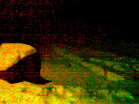 la sanius beresti tazlau.p6