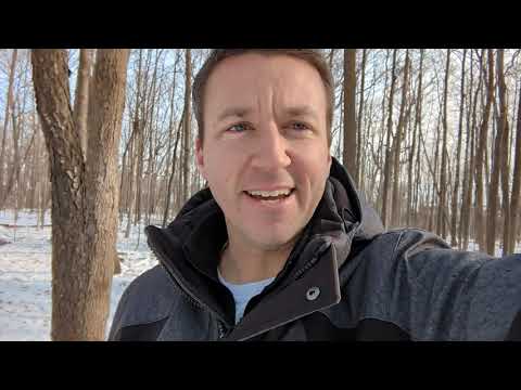 David Bayer video