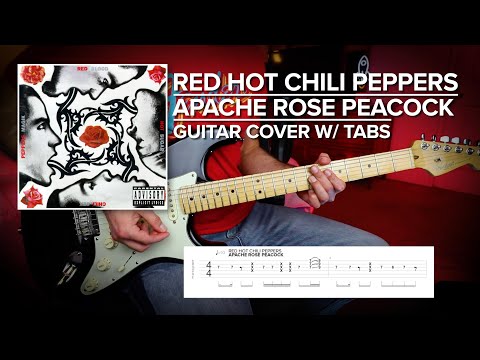Apache Rose Peacock - Red Hot Chili Peppers