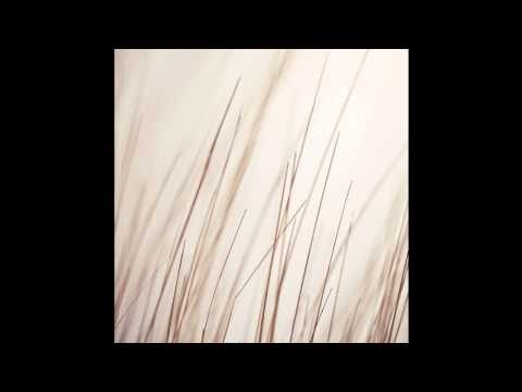 Porya Hatami - Fen (by Sven Laux)