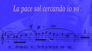 Il lamento di Federico (Piano) HD. ANDREA BOCELLI