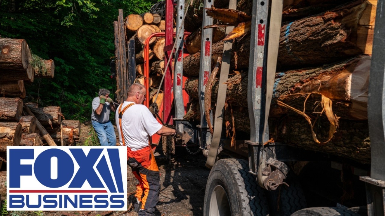 'WE'RE IN TROUBLE': Fuel costs are the 'straw that broke' the loggers back, exec warns