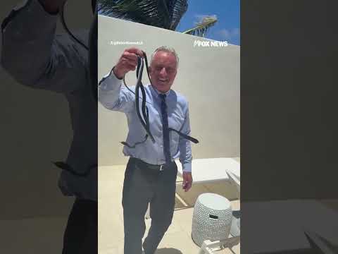 'Those are dangerous!': RFK Jr. shares WILD video... #rfkjr #shorts #snake