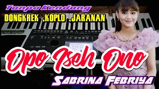 Download lagu OPO ISEH ONO - SABRINA FEBRIYA || TANPA KENDANG • Dongkrek Koplo Jaranan mp3