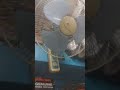 16" rare old standard wall fan model SWF-16CO fan 2 of 3 65 watts year 1993 standard corp made