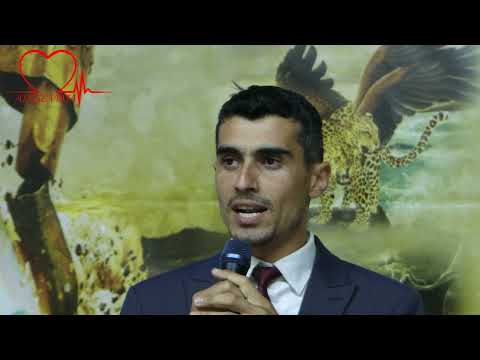 Tulpan Brothers - Ierusalim