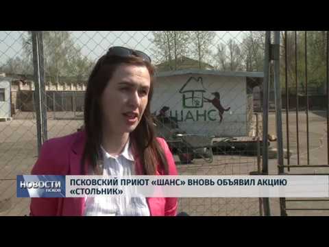 24.04.2019 / Псковский приют «Шанс» вновь объявил акцию «Стольник»