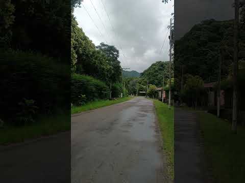 #jujuy #jujuyargentina #jujuyenergiaviva #losnogales #Yala #tucan #naturaleza #nature #montañas #fyp