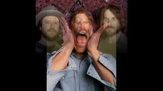 Todd Snider and Hard Working Americans (Live) - Come From The Heart