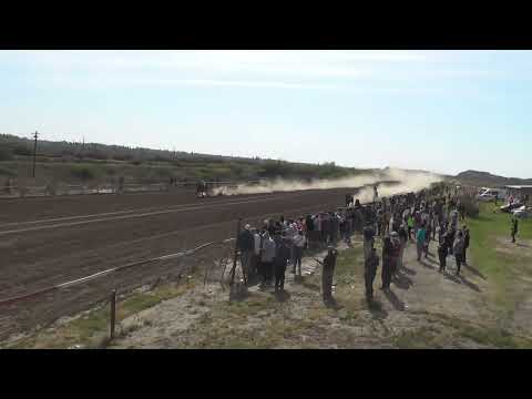 ELEGIDO  Club Hipico "Los Olivillos"  - Chimpay - 15/ 10/ 2022