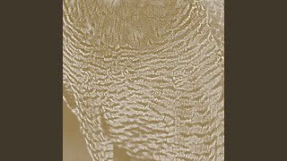 November 16 - Dead Oak