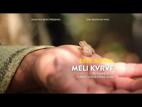 Meli Kvrvf - Promo - Sesiones Renü 2023