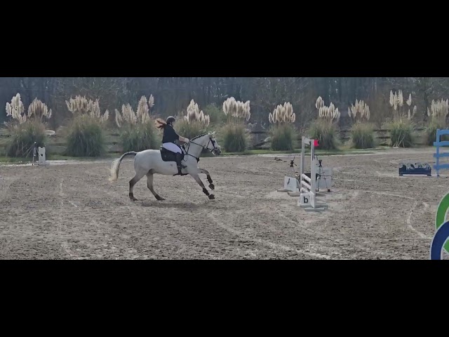 HONGRE TOP CARACTERE 