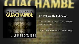 Video thumbnail of "En peligro de extinción (Audio oficial) / Orquesta Internacional Guachambe"