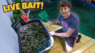 Building BAIT POND for My 5,500G FISH POND!! (feeding)