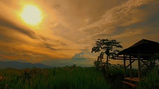 Download lagu Pemandangan alam sore|Sinematik senja|Cinematic 30 detik|Sinematik sunset mp3