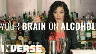 Your Brain on Alcohol | Inverse