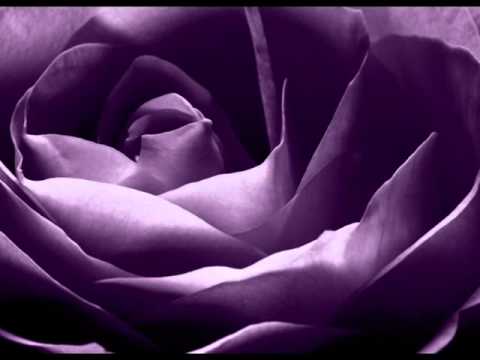 stella mirus - Sonata Fur Klavier Nr.14