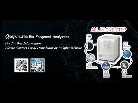 Portable Bio-Fragment Analyzer