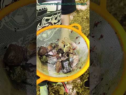 Warsztaty mineralogiczne w Karkonoszach i Rudawach