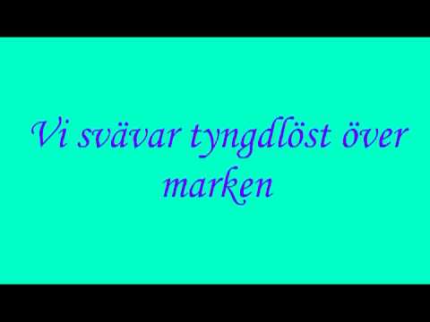 Timoteij - Tabu (Lyrics)