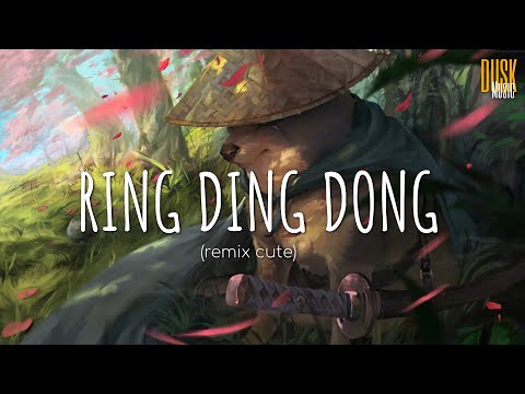 Ring Ding Dong (remix cute) - Wan Gombel // (Vietsub + Lyric) Tik Tok Song