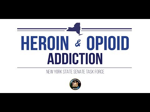 New York State Senate Heroin & Opioid Task Force - Mineola  7/19/17