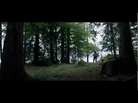 Die Wand - Ausschnitte: Waldverwandlung