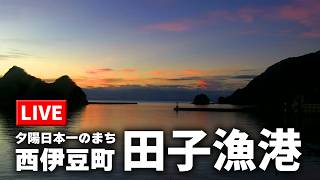 田子漁港