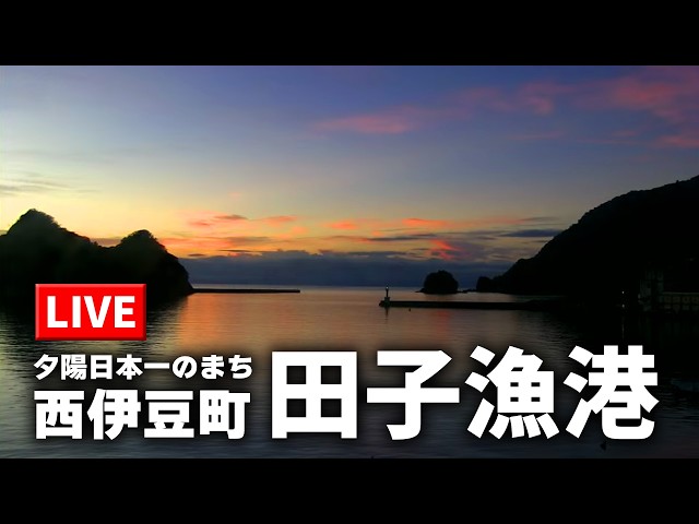 田子漁港