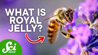 How a Bee Becomes Queen