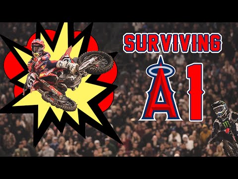 WILD RIDE IN ANAHEIM | BAMTV A1 EDITION