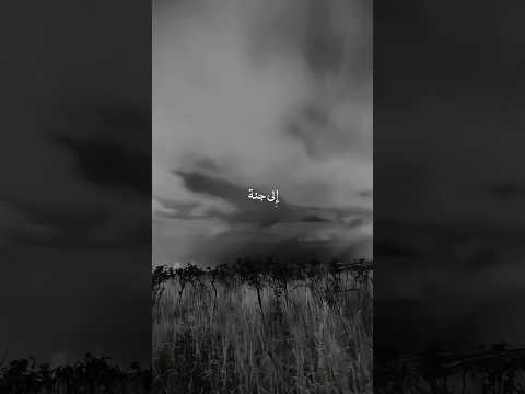 The Beauty of Existence | Jamal ul Wujudi جمال الوجود | Heart Touching Nasheed | Aesthetic #shorts