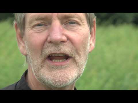 Cor Mutsers (gitaar) & Hans van Gorp (zang) - Mistige Daage