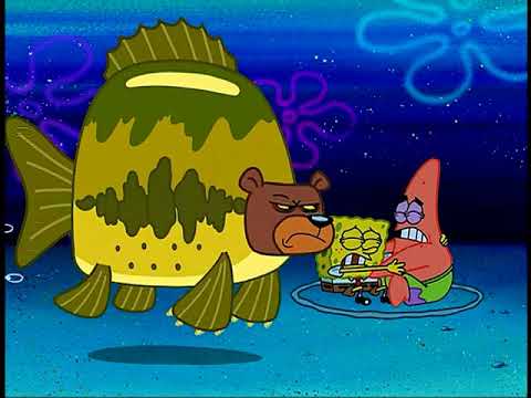 Spongebob Squarepants Squidward vs Sea Bear