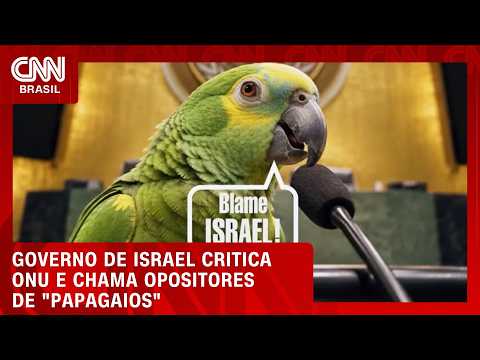 VÍDEO: Governo de Israel critica ONU e chama opositores de “papagaios” | CNN BRASIL