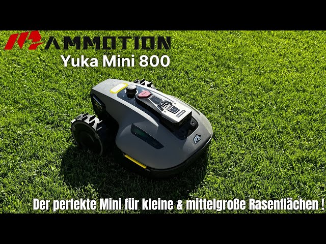 Judge.me YouTube video placeholder