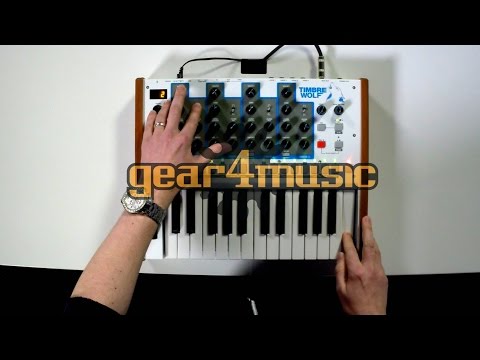 Akai Timbre Wolf Analog 4-Voice Polyphonic Synthesizer