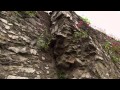 Time Team S20 E09 The Lost Castle Of Dundrum
