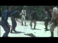 Descendant Of Wing Chun Part 1